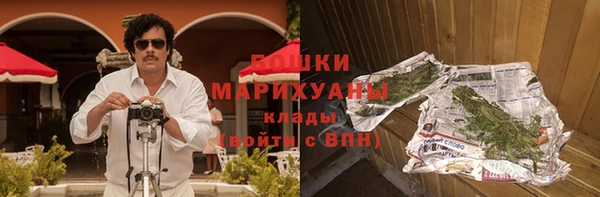 молекула духа Каменка