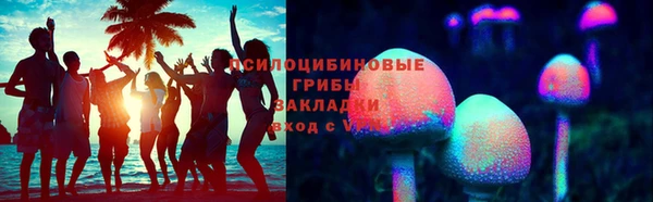 молекула духа Каменка