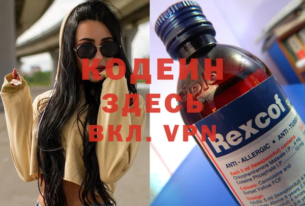 молекула духа Каменка
