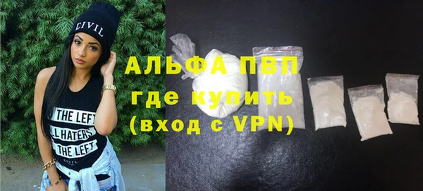 молекула духа Каменка