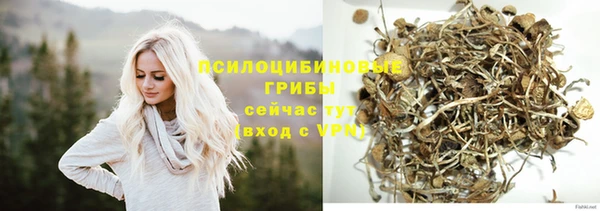 молекула духа Каменка