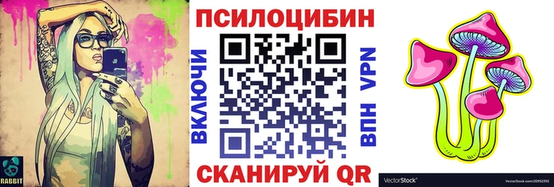 Галлюциногенные грибы Psilocybe  Купить закладки  Багратионовск 